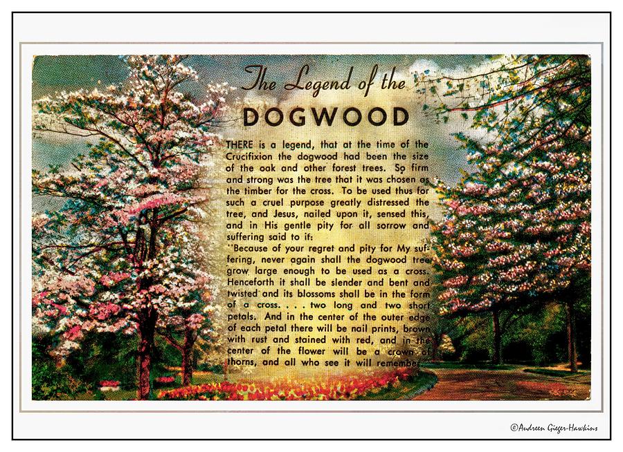 The Legend of the Dogwood Photograph by Audreen Gieger