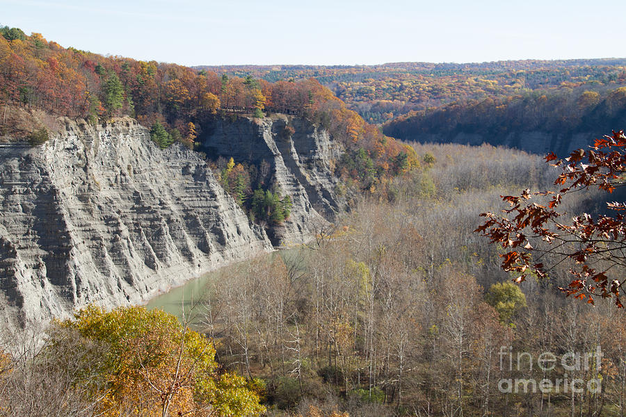 The Letchworth Valley Photograph by William Norton