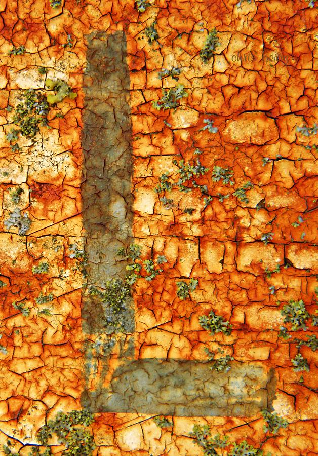 The Letter L with Lichens Photograph by Chris Berry