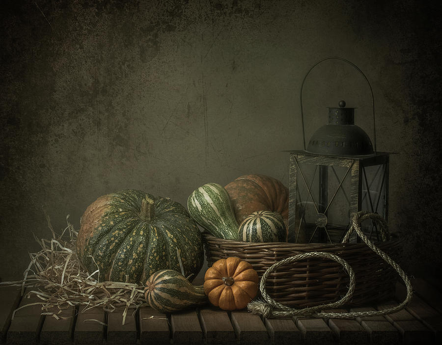 Pumpkin Photograph - The Light In The Barn by Margareth Perfoncio
