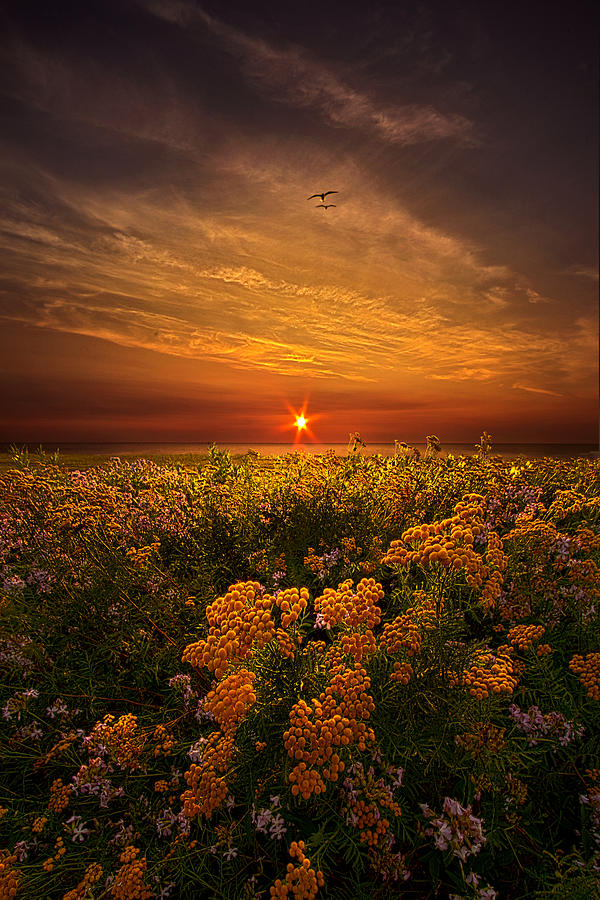 Nature Photograph - The Light of Day by Phil Koch