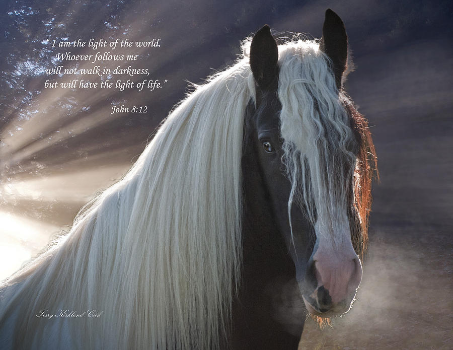 The Light of the World with verse Photograph by Terry Kirkland Cook