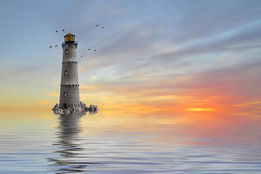 Bird Photograph - The Lighthouse by Sharon Lisa Clarke