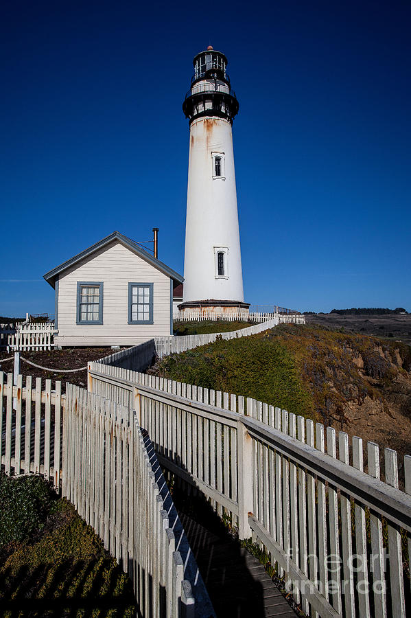 Pigeon Point Lighthouse #1 Photograph by Steven Reed