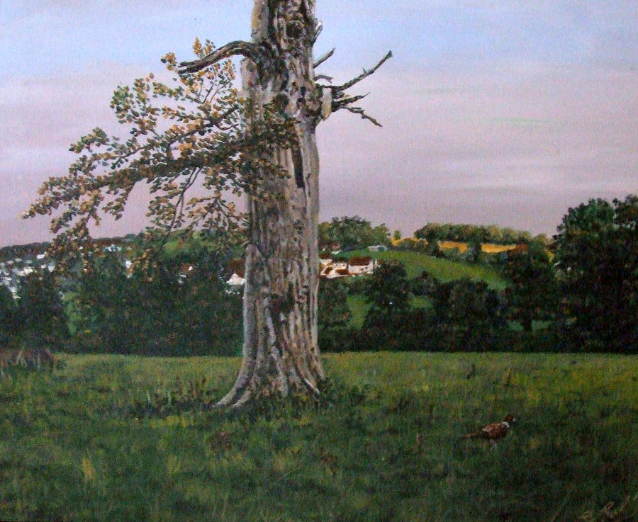 The Lightning Tree Shobrooke Park Crediton Devon Painting by Mackenzie Moulton