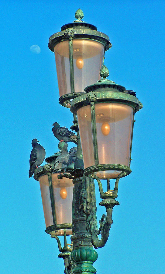 Lamp Post Photograph by Jennifer Robin