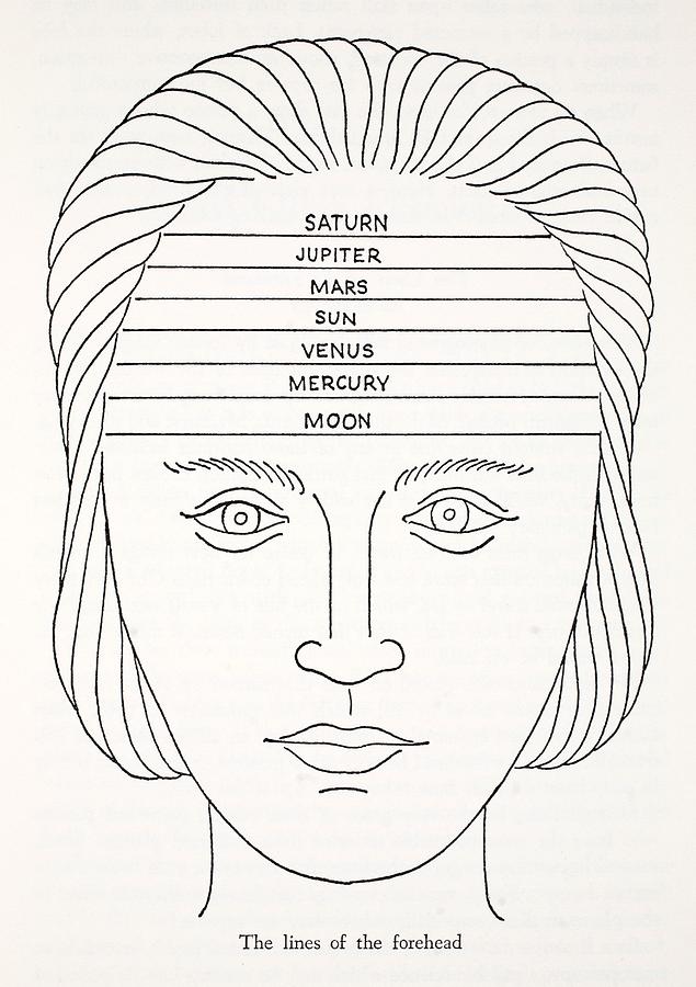 The Lines Of The Forehead Drawing by English School
