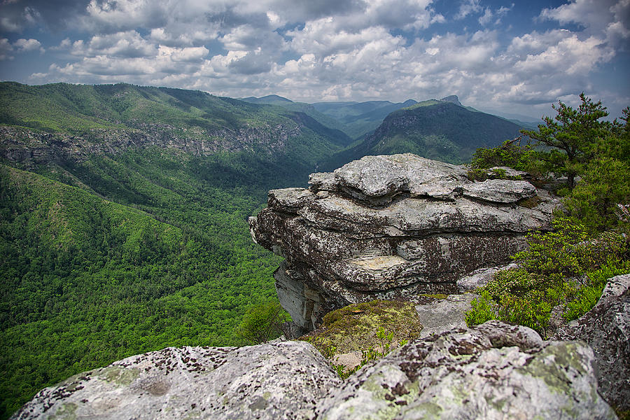 The Linville Gorge from Shortoff Photograph by Mark Steven Houser