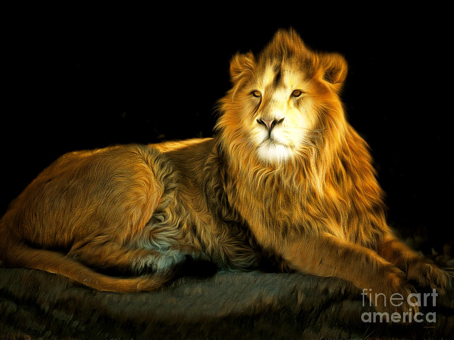 The Lion 201502113-2brun Photograph by Wingsdomain Art and Photography