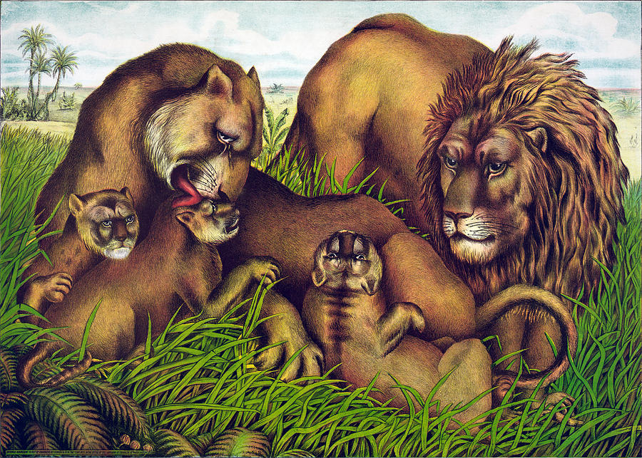 The Lion Family Digital Art by Georgia Clare