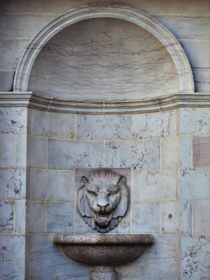Denver Photograph - The Lion Fountain by Angelina Tamez