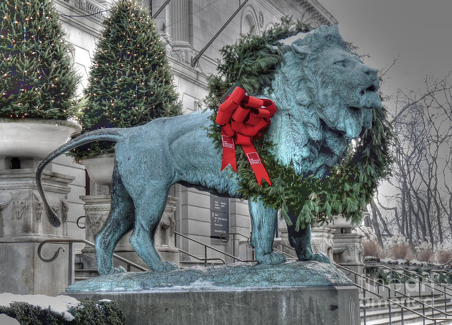 The Lion in Winter Photograph by David Bearden