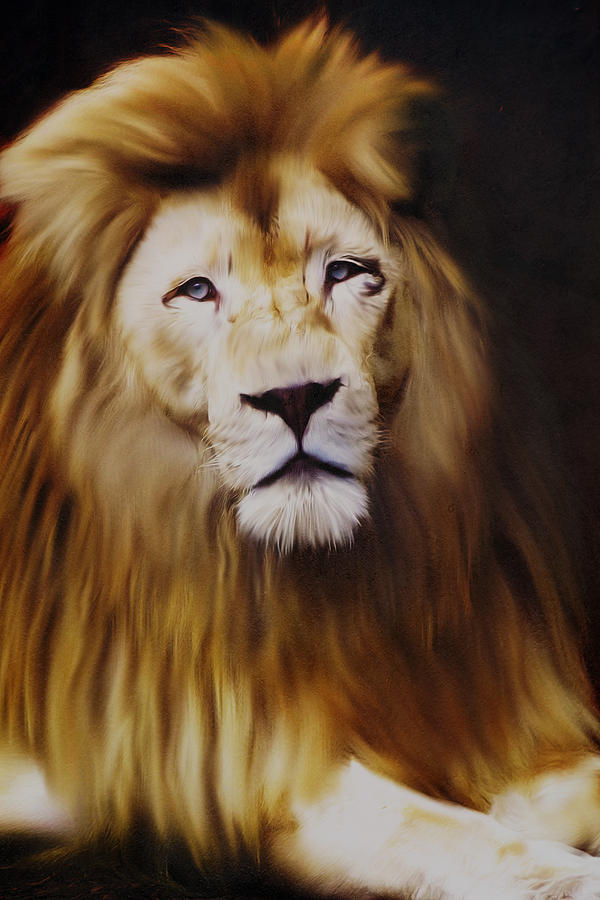 Animal Digital Art - The Lion King by Davandra Cribbie