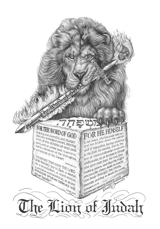 Wildlife Drawing - The Lion of Judah by David Zamudio