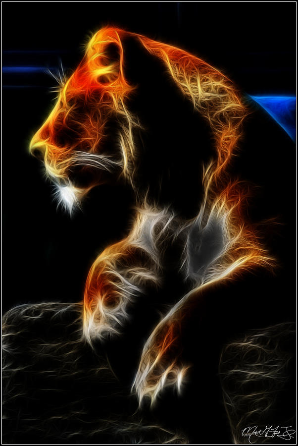 The Lioness Alt Photograph by Michael Frank Jr