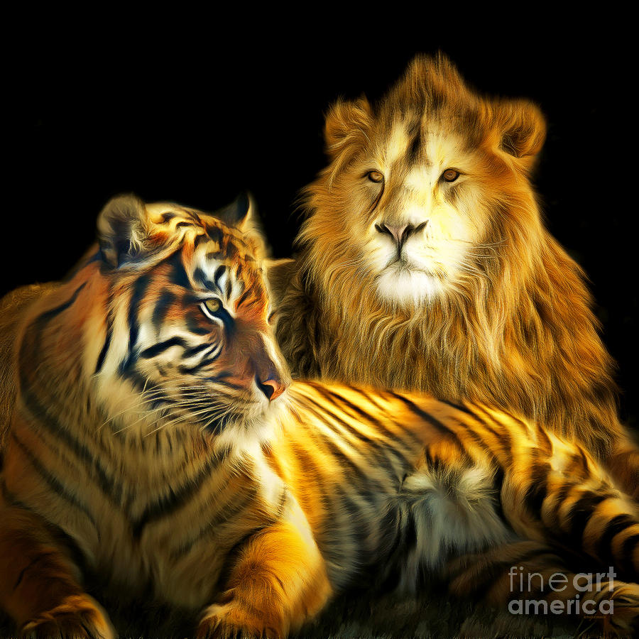The Lions Den 201502113-2brun square Photograph by Wingsdomain Art and Photography