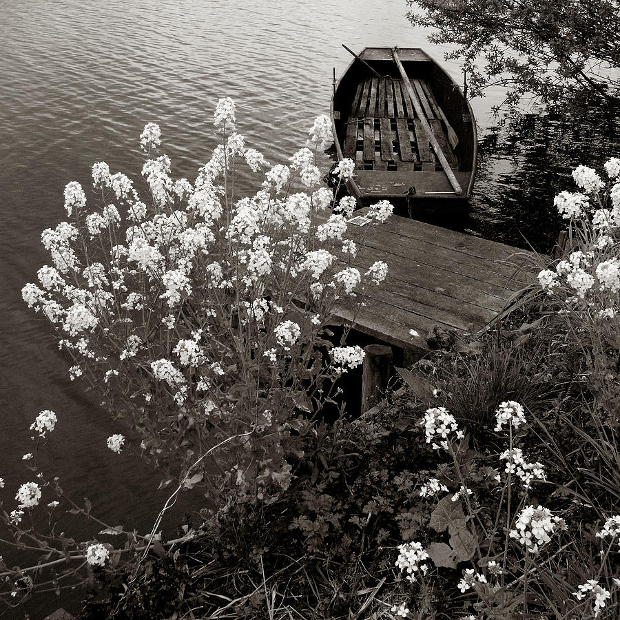 The Little Boat Photograph by Cornelis Verwaal