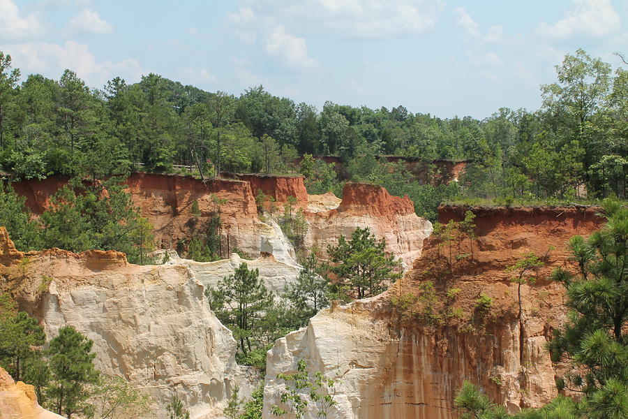 The Little Grand Canyon Of Georgia Photograph