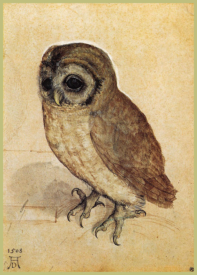 Owl Painting - The Little Owl 1508 by Philip Ralley