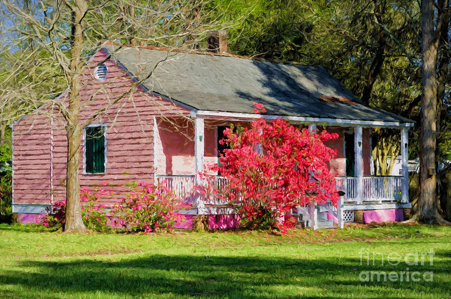 The Little Pink Creole Cottage Photograph by Kathleen K Parker