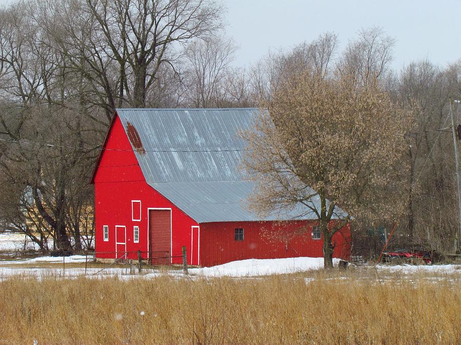 The Little Red Barn Photograph by Lori Frisch