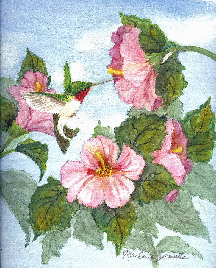 Ruby-throated Hummingbird Painting - The Little Sipper by Marlene Schwartz Massey