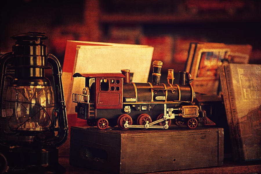 The Little Train On The Shelf Photograph by Maria Angelica Maira