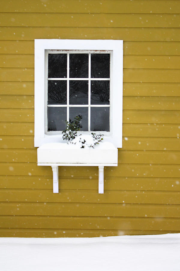 The Little Window Photograph by Lisa McLean Adams