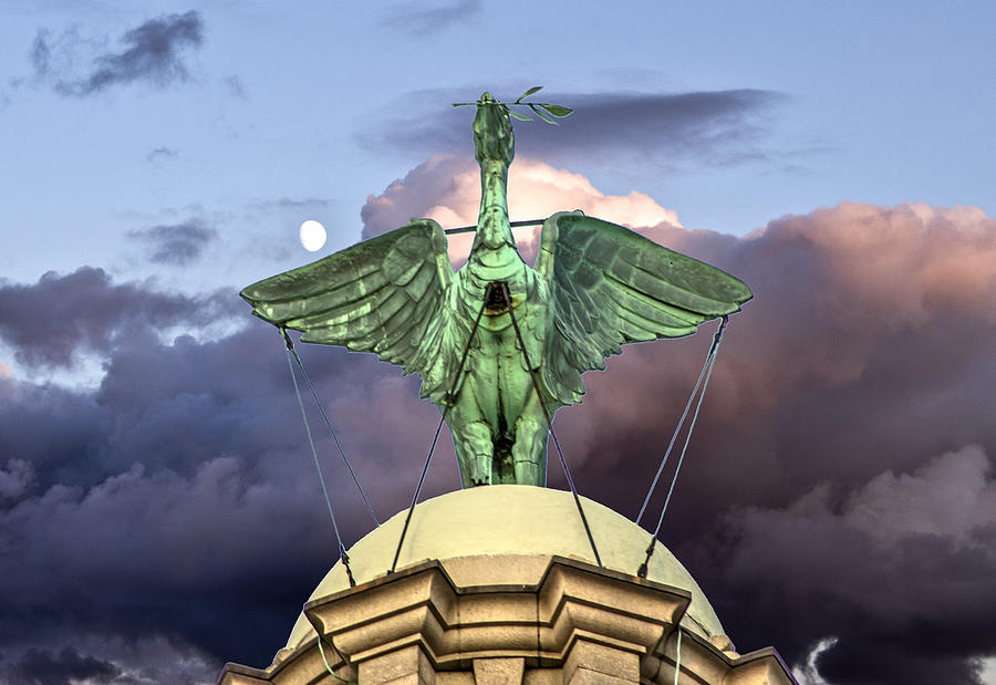 Liver Bird - Đại diện cho tinh thần tự do và độc lập của thành phố Liverpool
