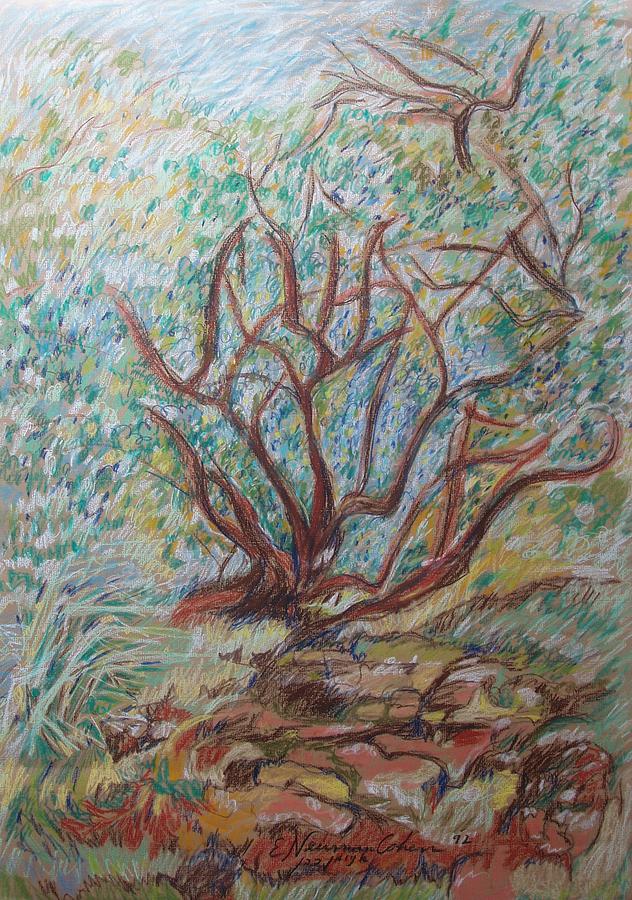 The Living Bush Drawing by Esther Newman-Cohen