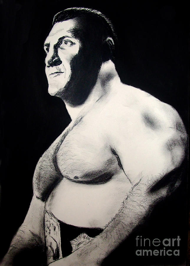 The Living Legend of Wrestling Bruno Sammartino Drawing by Jim Fitzpatrick
