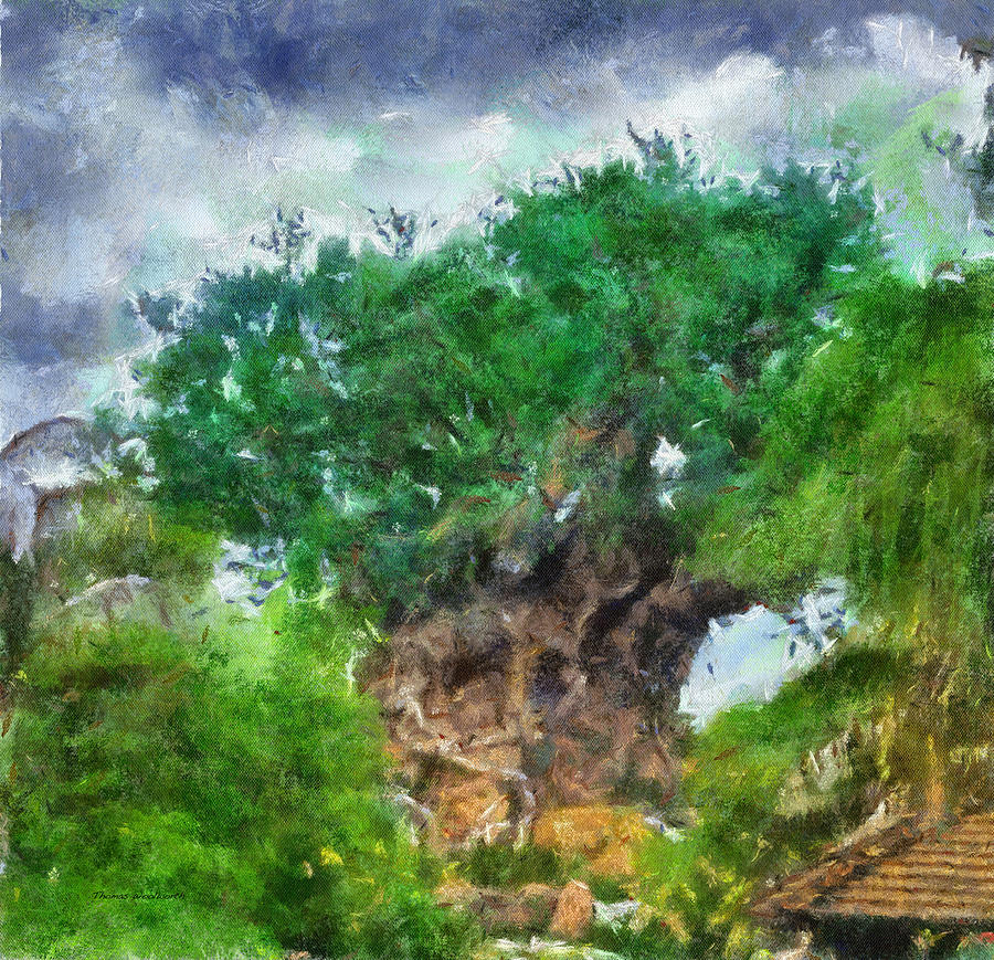 The Living Tree WDW Photo Art Photograph by Thomas Woolworth
