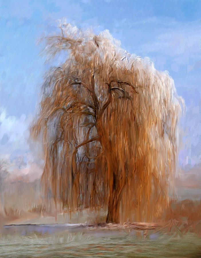 The Lone Willow Tree Painting by Portraits By NC
