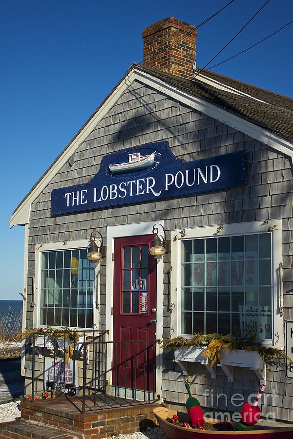 The Lobster Pound Photograph by Amazing Jules