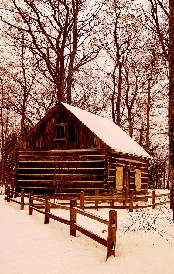 Winter Photograph - The Log Cabin at Old Mission Point by Daniel Thompson