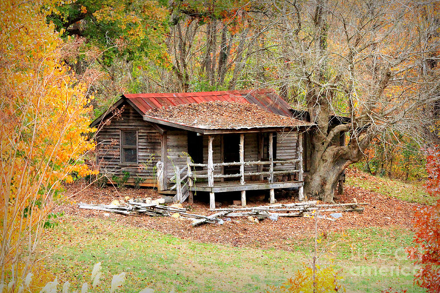 The Log Cabin in the Woods Photograph by Reid Callaway - Fine Art America