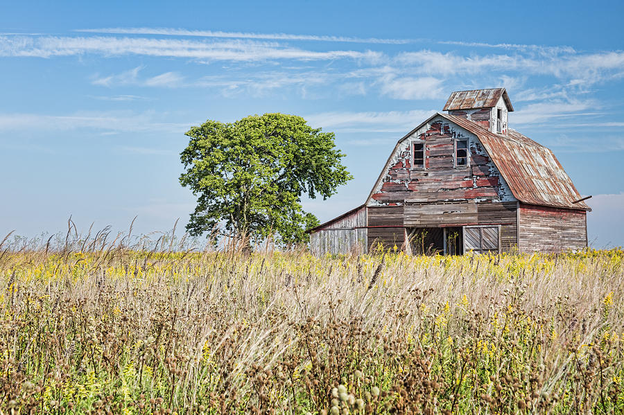 The Lone Barn Photograph By Carl Clay