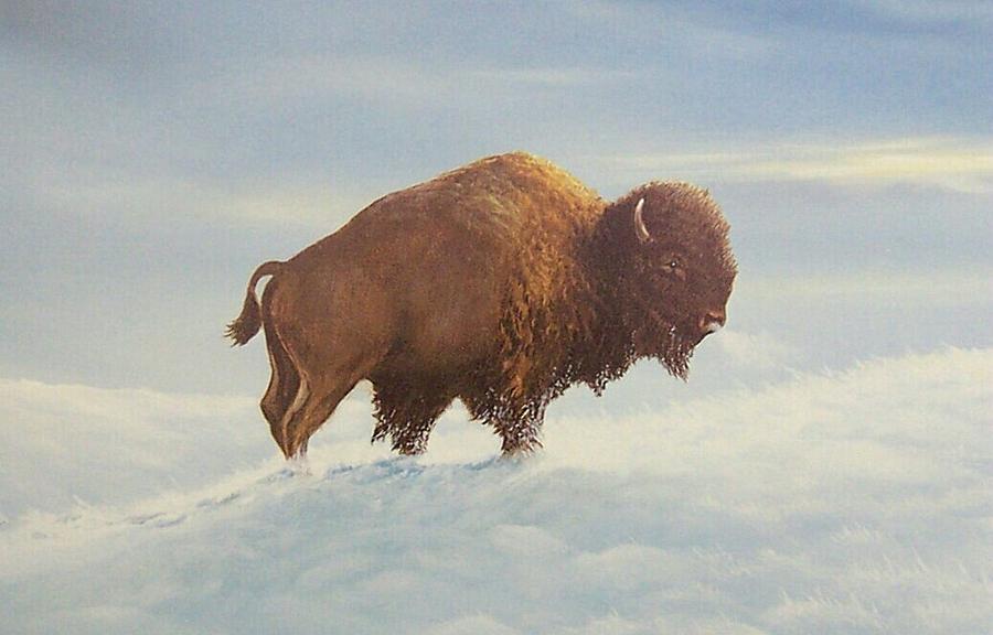 Buffalo Painting - The lone Buffalo by Don Griffiths