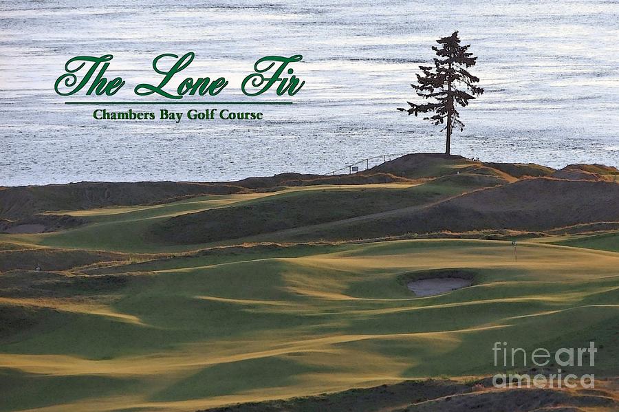 The Lone Fir of Chambers Bay - Chambers Bay Golf Course Photograph by Chris Anderson