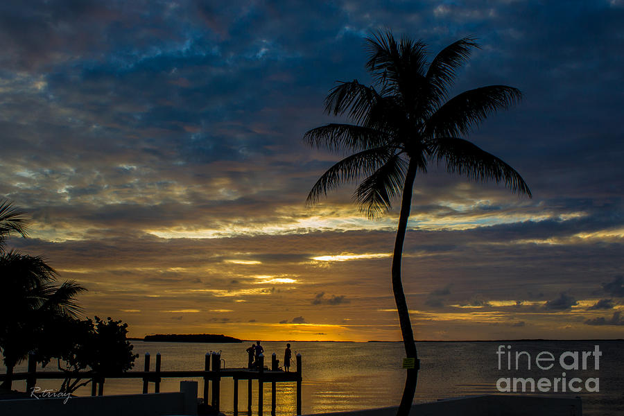 The Lone Palm and the Kids Photograph by Rene Triay FineArt Photos