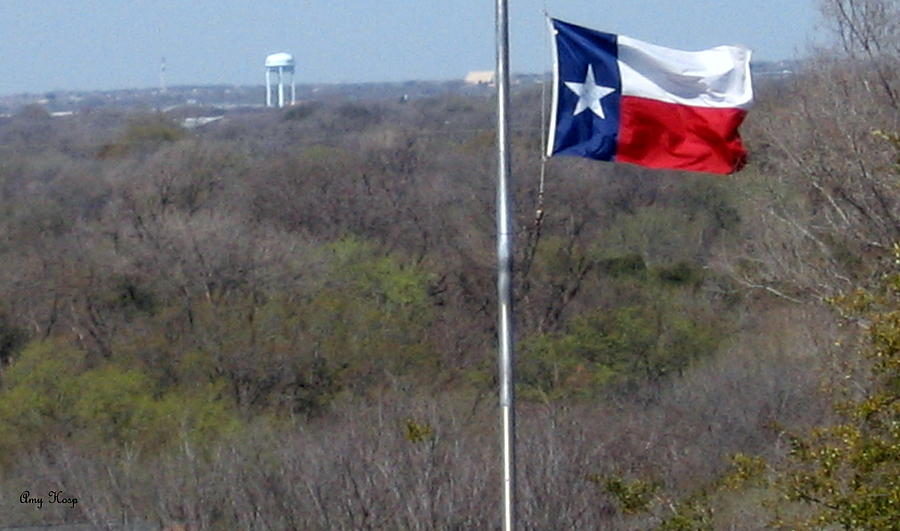 The Lone Star Flag Fort Worth Texas Photograph by Amy Hosp