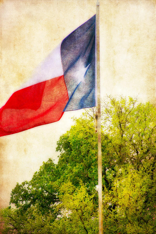 The Lone Star Flag Photograph by Joan Bertucci