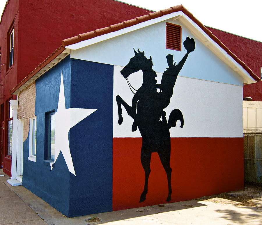 The Lone Star State Photograph by John Babis