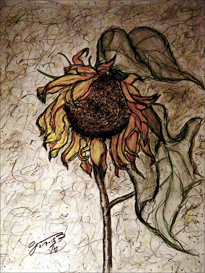Pa. Drawing - The Lone Sunflower III by Jose A Gonzalez Jr
