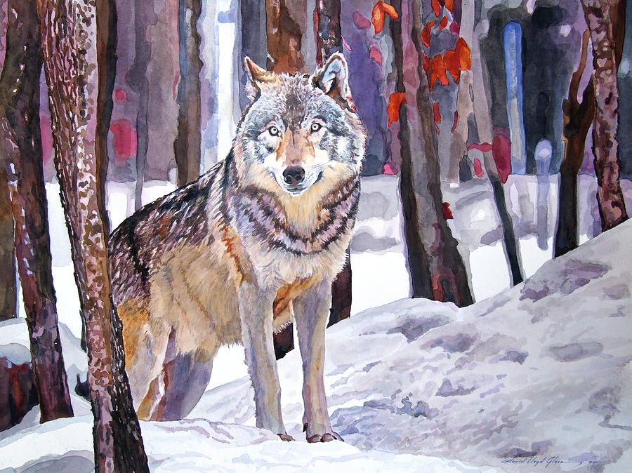 Wildlife Painting - The Lone Wolf by David Lloyd Glover