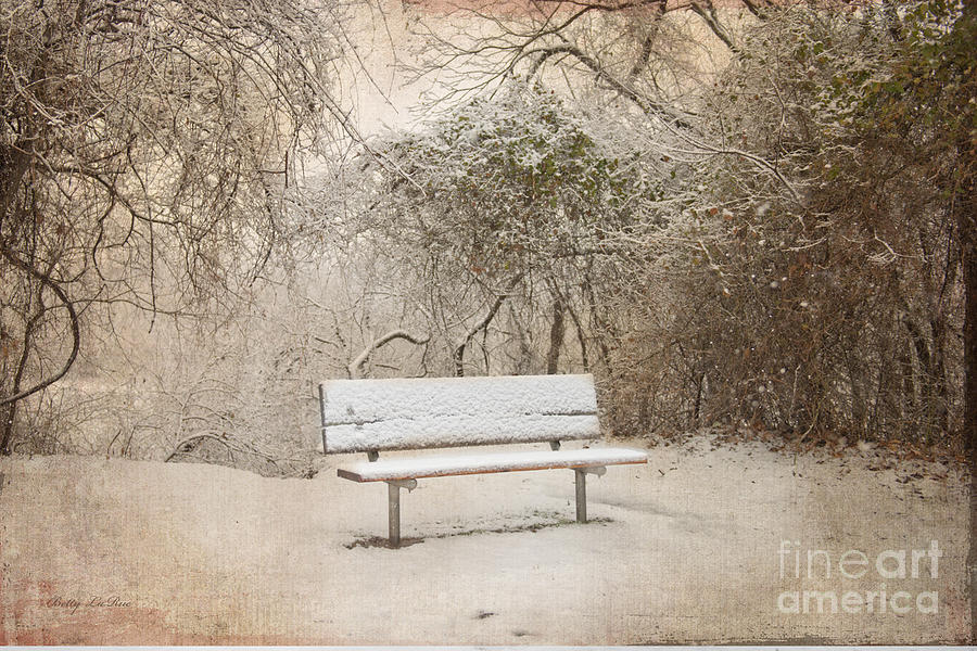 The Lonely Bench Photograph by Betty LaRue