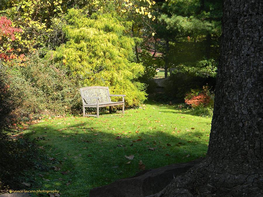 The Lonely Bench Photograph by Nance Larson - Fine Art America