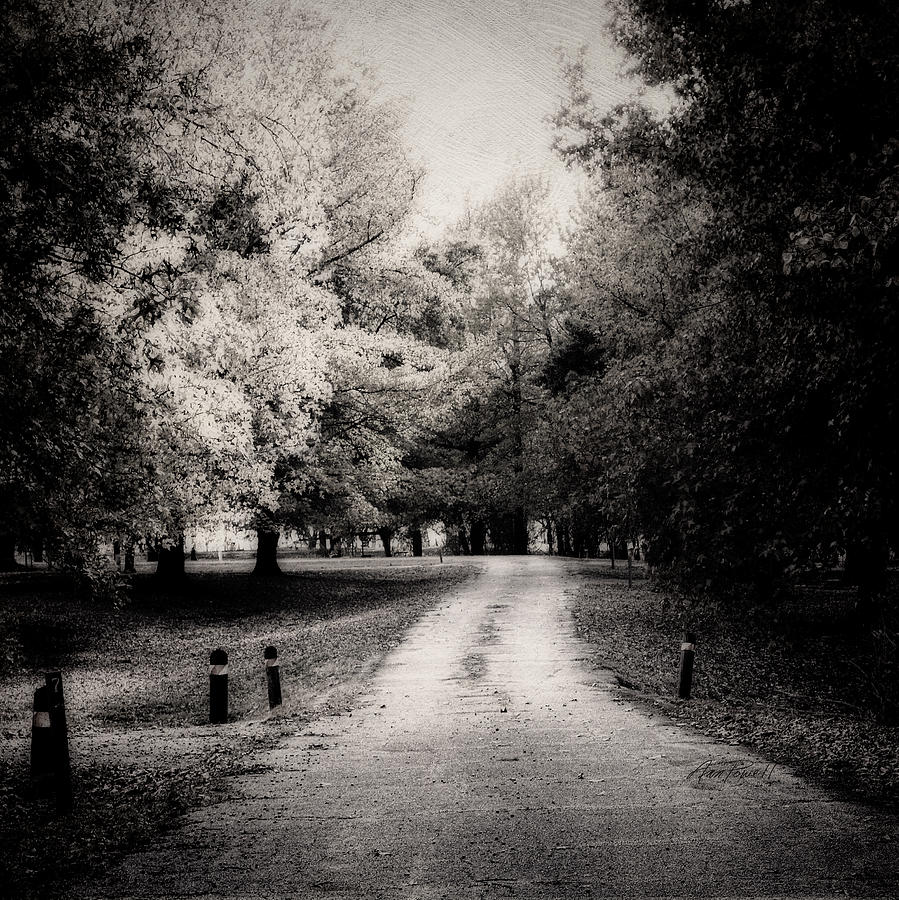 The Lonely Road -textured photo art monochrome Photograph by Ann Powell