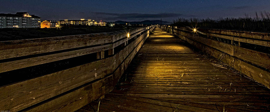 The Long Boardwalk Photograph by Thom Zehrfeld