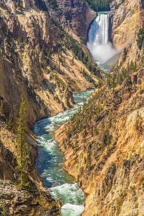 Yellowstone Falls Photograph - The Long Fall by Randall Branham